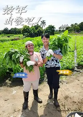 小镇推理社实景推理综艺在线观看